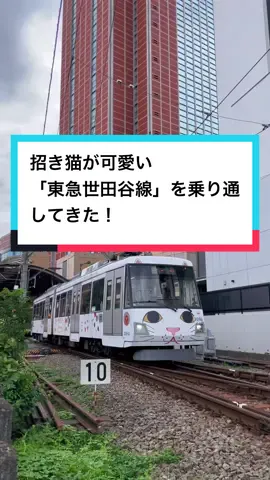 東急世田谷線を乗り通してきました！ 都会にあるこういうローカル電車ってなんだか癒されますよね。 たまに世田谷線経由で遠回りしながら家に帰りたくなる時ありますー #東急世田谷線  #三軒茶屋駅  #下高井戸駅  #豪徳寺  #幸福の招き猫電車  #乗り鉄好きな人と繋がりたい 