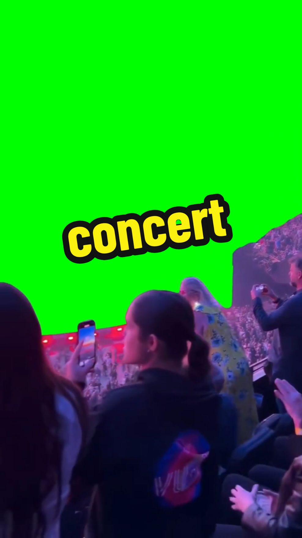 concert #concert #greenscreenvideo #greenscreen #greenscreenchallenge #greenscreeneffect #foryou #fyp #pfy 