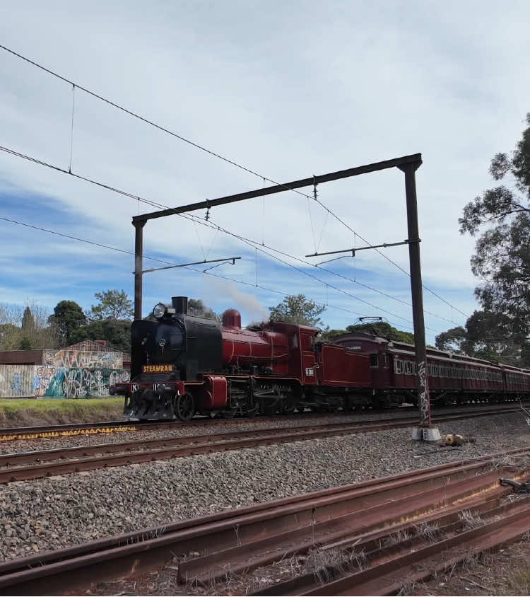 The Tait set & K190 passing through Boronia. #steamrailvictoria #steamtrain #taitset #redrattler #belgraveline 
