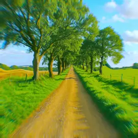 Pretty path #mushrooms #cid #visual #simulation #trippy 