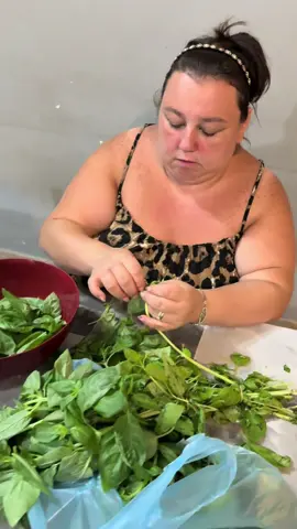 Preparazione pesto 