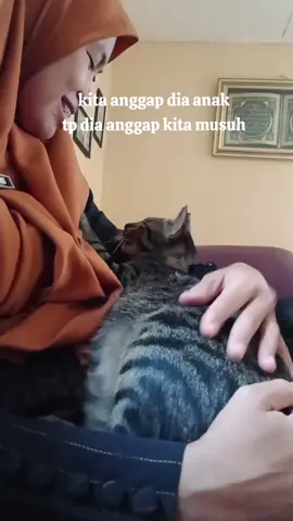 namanya monjo #pecintakucing  #fyppppppppppppppppppppppp 
