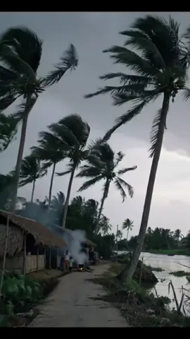 #xuhuong #kyuctuoitho #kyniemxua 