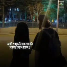 :) আমার প্রিয় অর্ধেক দ্বীন...! 🫀🍃 #islamic_video #tiktok #unfrezzmyaccount #islamic_video 