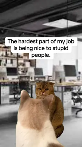 #CapCut #quitthe9to5 #quit9to5 #workingmom #workingdad ##funnyworkmemes #corporatehumor #catmemes #cat #funnycat #viralvideo 