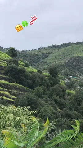 خپل کلے❤️🤗🍀🍀