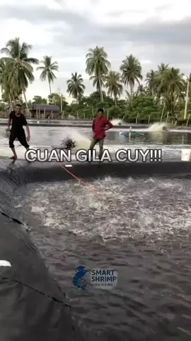 Jangan tunggu nanti, soalnya cuan nggak suka ditunda! Modal 2 juta, panen berkali-kali setahun 😍#fypシ #fyppppppppppppppppppppppp #fypage #MitraBisnis #bisnisonline 