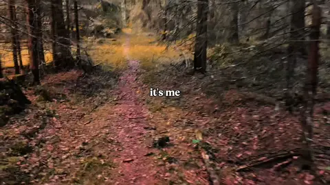 sry for not posting, been busy #naturelover 