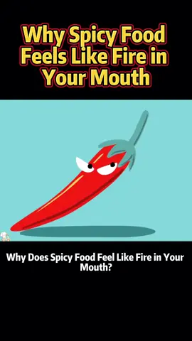 Why spicy food feels like fire in your mouth #knowledge #science 