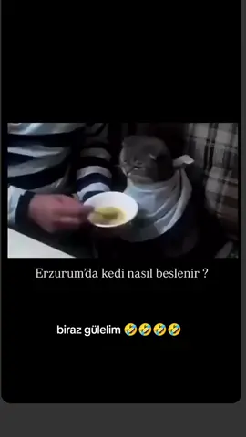 ##