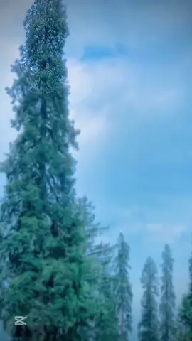 #Sp311❤️👈 #follsaportme🙏#🥰🥰 #plzviral🥺🥺🙏🙏foryoupage #1millionviews #@🥀ساقى 🍷🚬 #🥰🥰 @SP 311 BABA #@spbdrang #@-SHANI🫠 #@🔥𝐒𝐩✰𝐁 𝐎 𝐒 𝐒✌︎︎𝟑𝟏𝟏🔥 #@SP __BABA__311❤👈 #🥰🥰 ##🥰🥰 @spkhorshid ali 311 #@sp____311 #@Malang 311 #@💘ᵃ𝐳ᶩᵃⁿќ𝕙𝐚η💘✨ #ppppppppppp#