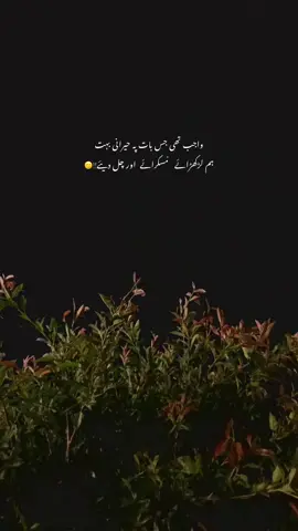 ❤️‍🩹!!#plzunfrezemyaccount #viewsproblem #fyppppppppppppppppppppppp #poetrylines #sadvibes🥀 #dontunderreviewmyvideo 