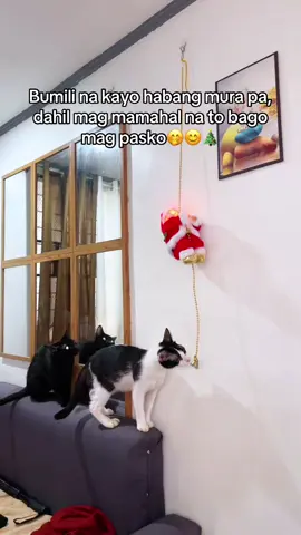 Ang cute! Climbing Santa Claus🎅🎄 #santaclaus #christmas #santaclausdecor #christmasdecor #LaPuraCrema 