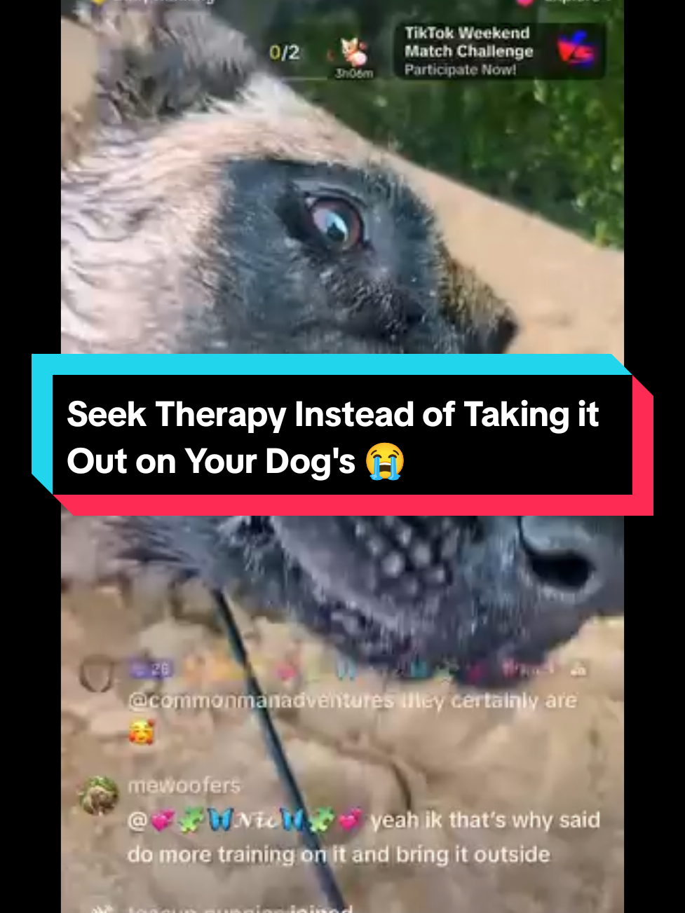 I am sick and tired of seeing people being mean to, and abuse, their dogs! This simply isn't on. Stop abusing your dogs. SEEK THERAPY INSTEAD! #baddogownersnotdogs #baddogowner 