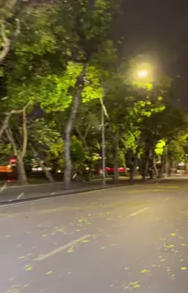 Hà Nội Mùa Lá Rụng #muathu #muathuhanoi #hanoimualarung #nguyenvanchung #tungduong 