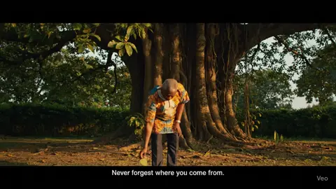 never forget where you come from#fpyシ #foryou #africa #africantiktok #advice 