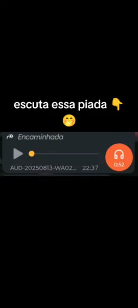 #audiosengraçados #audiosvirais 
