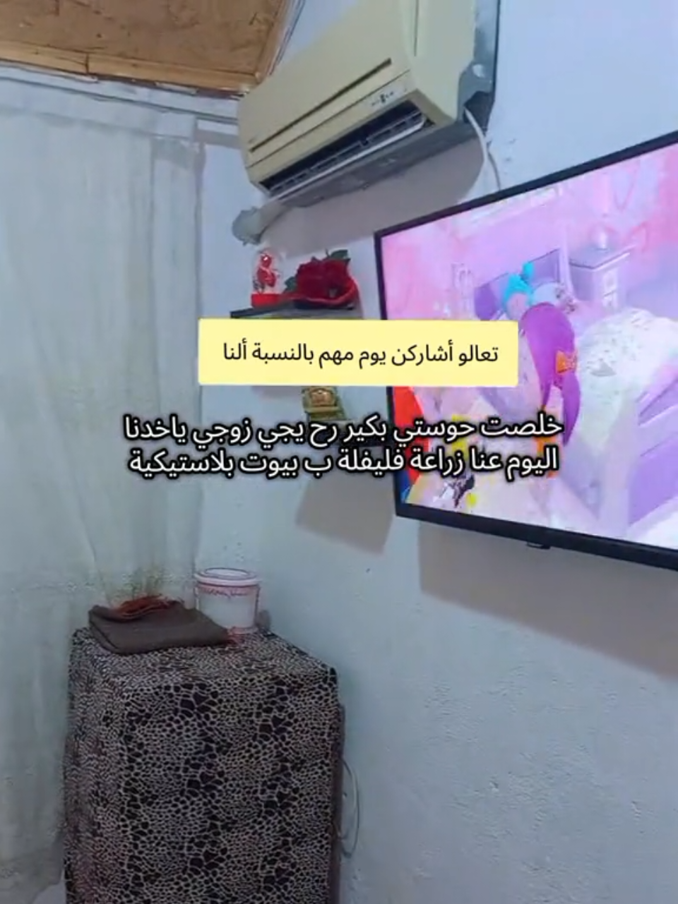 #لايك_متابعه_اكسبلور #اعملولي_اعادة_نشر_🥹💖 #زرع #فليفلة_حلوة 