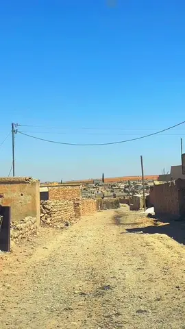 #اكسبلور #اكسبلور #اكسبلور 