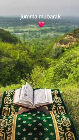 #islamic_video #LIVEIncentiveProgram #PaidPartnership #200kviews ##froyou #islam #videoviral #fppppppppppppppppppp 