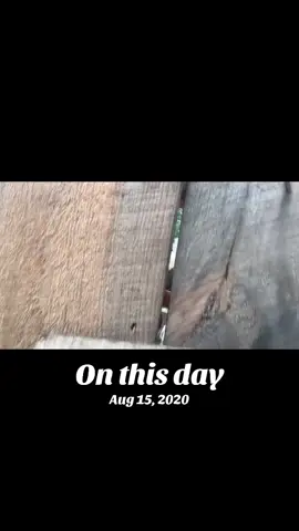 #onthisday 