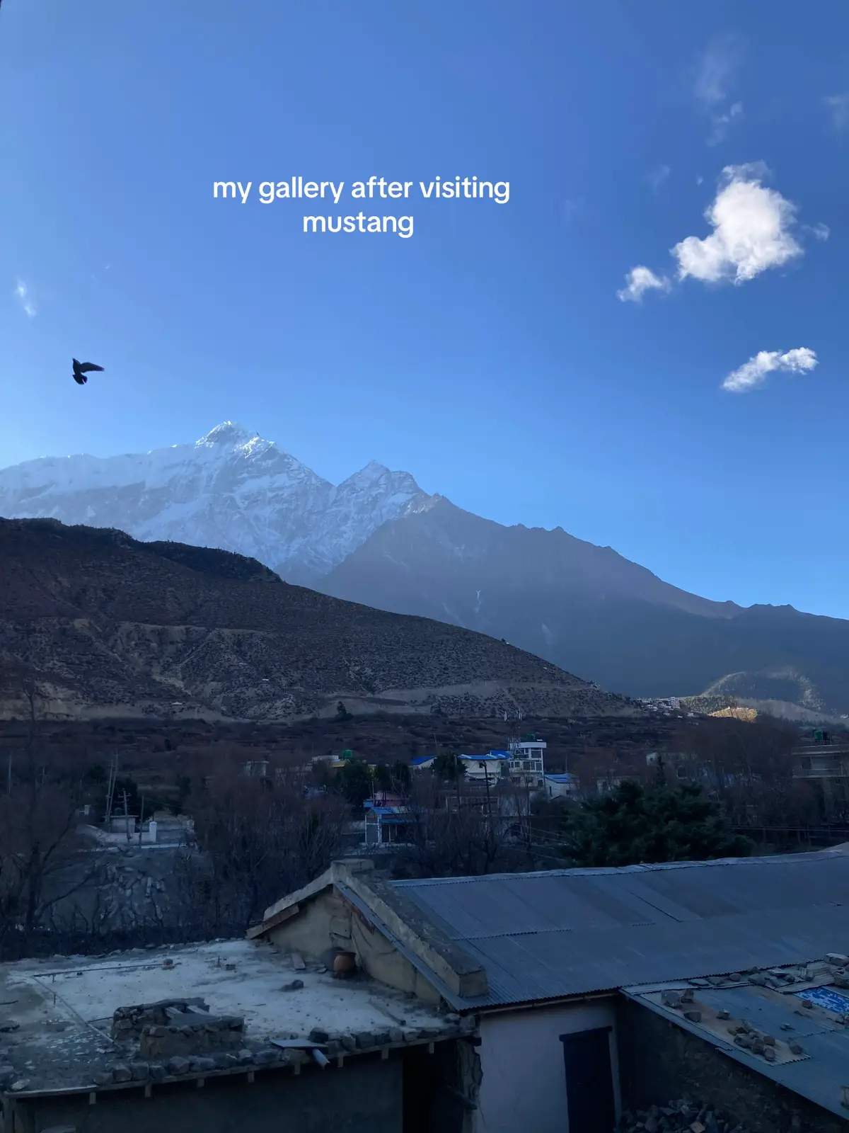 Ethereal beauty of mustang, still can feel the cold breeze and warm sun. 🏔️