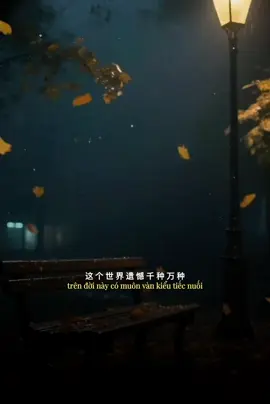 Ký ức người để lại là đau thương nhất , mỗi khi nhớ người cảm xúc lại ào ạt như cơn gió....! #nhachaymoingay #tamtrangchill #motchutchill_004 #xuhuong #tramdungchan 