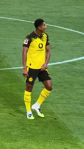 19 #bvb #borussiadortmund #jobebellingham #bellingham #judebellingham 