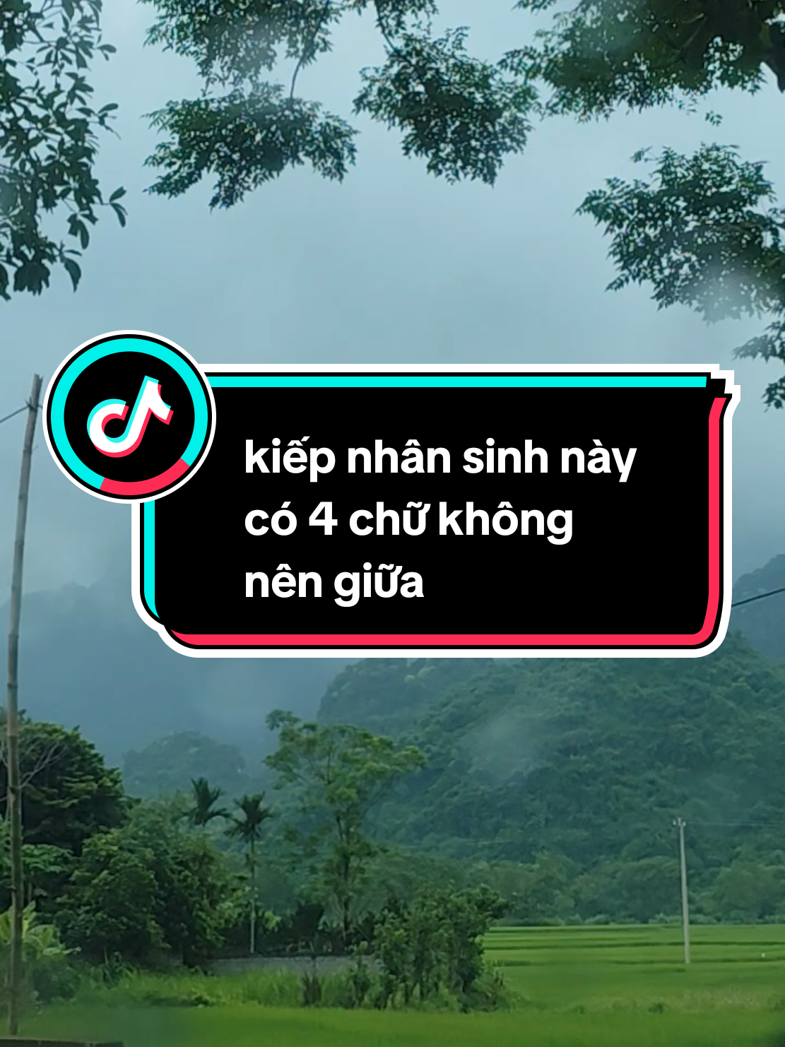phần 133🌲: khiếp nhân sinh có 4 chữ không còn người nên giữa  #songthienluong #trietlycuocsong #songvuimoingay #tuduynguoc 