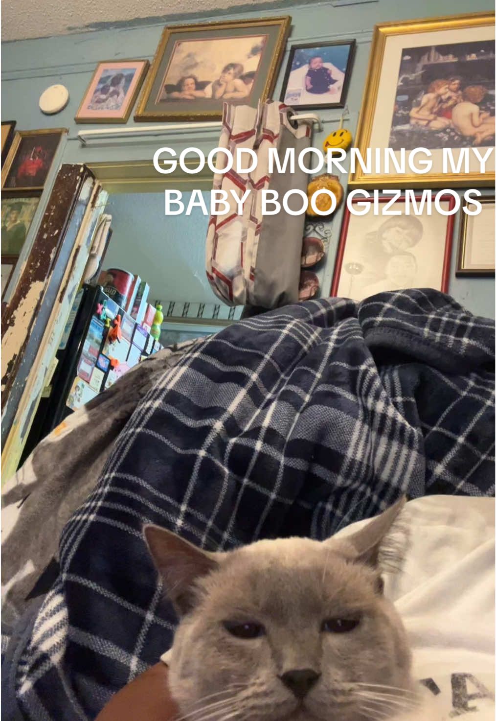 GIZMO MY BABY BOO#GRANDMA GRANDMAGIZMO 