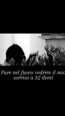 #voliamoneixte✈🦁 