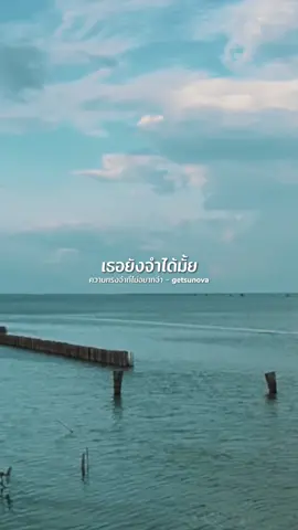#สตอรี่ความรู้สึก #ความทรงจำที่ไม่อยากจำ 🤍 #เพลงซึ้งๆความหมายดีๆ 