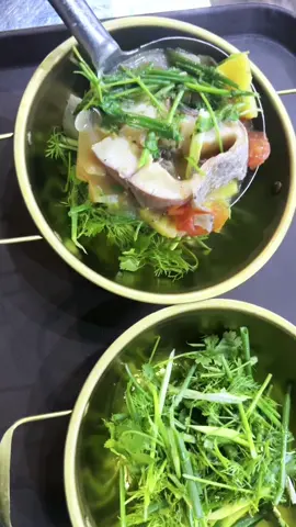 Canh cá nấu chua #xuhuongtiktok #xuhuongtiktok2025 #monngonmoingay #daynauankinhdoanh #BunCaSua 