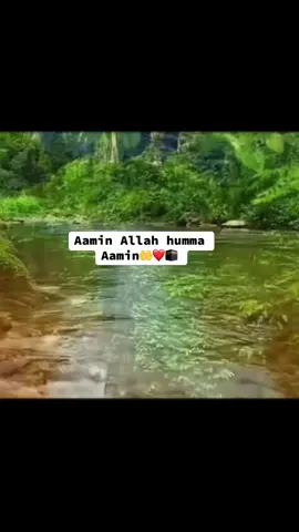 Dua khair 🤲❤️🕋#allah❤️ #iloveallah13938 #islamic_video #foryour 