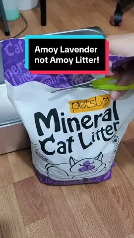🐱✨ Keep your kitty’s litter box clean & fresh! PetsUp Mineral Cat Litter – Lavender = ✅ Natural ingredients ✅ Strong absorption ✅ Lavender scent ✅ Low dust New look, new formula, same love for your cat! 💜” @Petsup  #PetsUpCatLitter #CatParentMustHave #FurBabyCare #petsupplies #petessentials 
