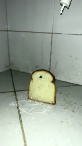 bread #bread 