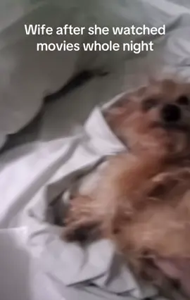 #funnytiktok #merriedlife #she told me to wake her up early next day🤣#fyp