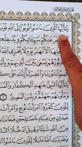 Recitation Of Quran Surah At-Tahrim 📖 🎧  #🤍 #quran #fyp #fypシ #viral 
