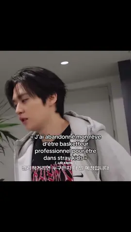 #kpopfyp #pourtoi #skz4thgenleaders #leeknow #straykids 