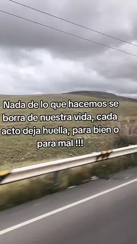 #reflexiones #vida #aprendizaje #sabiduria #huellas #leccionesdevida 
