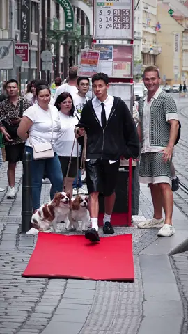 Puppy’s first runway moment🐶  #RedCarpetBoy 