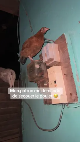 #pourtoi #typ #tiktokviral 