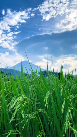 2025-8-5 (火)早朝~6:54~7:26✨