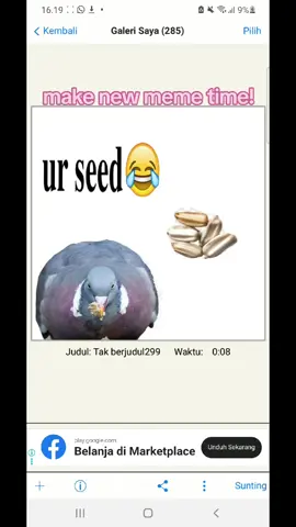 #fyppppppppppppppppppppppp #fyp#urseed😂#woodpigeon#seed