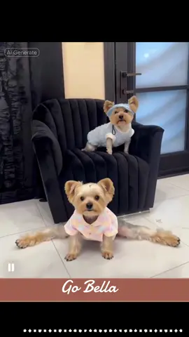 #CapCut#gymnastics#funny#fypシviral🖤animals 