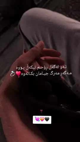 #هەولێر_سلێمانی_دەهۆک_ڕانیه_کەرکوک 