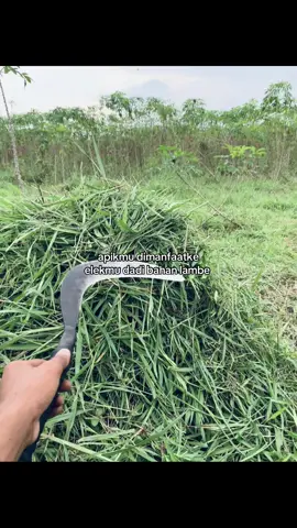 namanya jugak manusia #peternakmuda #peternakmuda #fypsoundss 