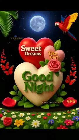 #goodnighteveryone #💫♥️🕊 
