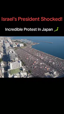 Free Palestine #palestine #freepalestine #protest #gaza #fyp 