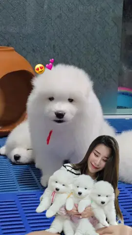แล้วแบบนี้คือยังไงน้าา???